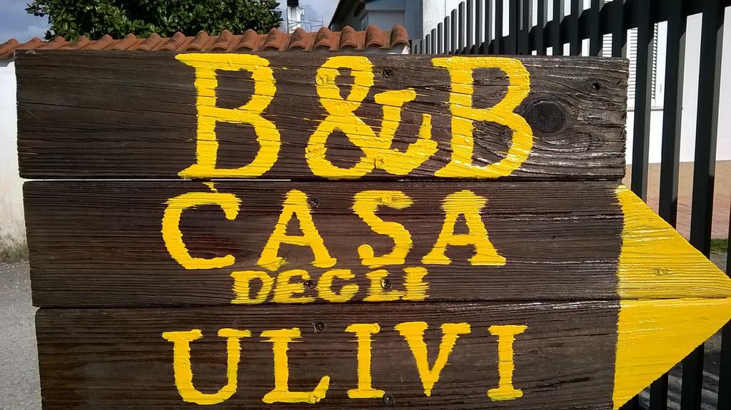 B&B Casa Degli Ulivi Nettuno Exteriör bild