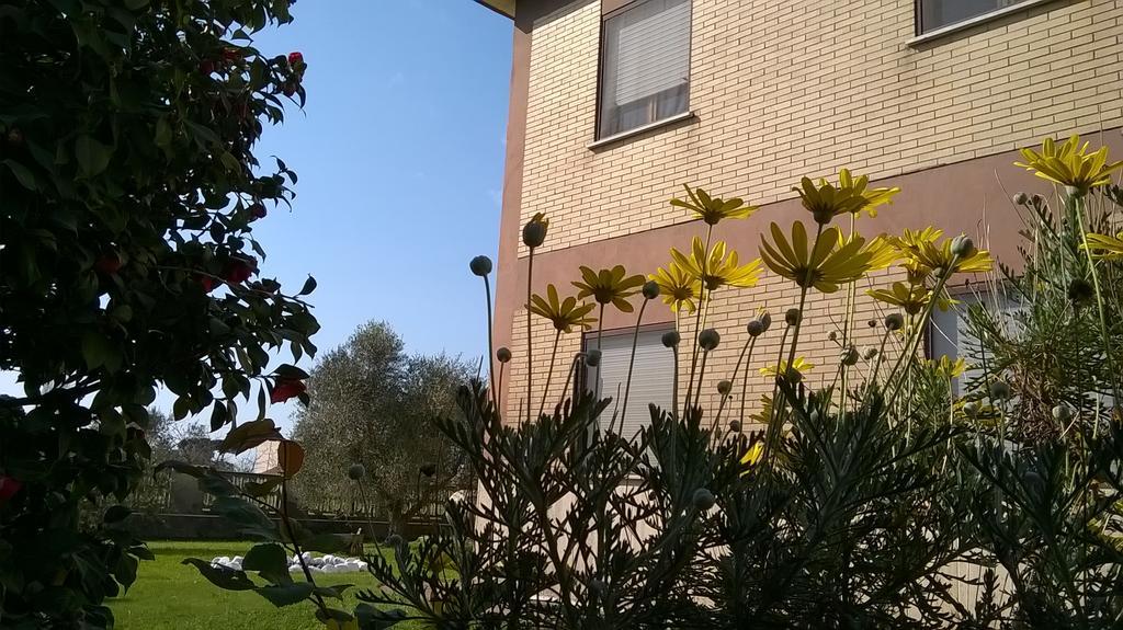 B&B Casa Degli Ulivi Nettuno Exteriör bild